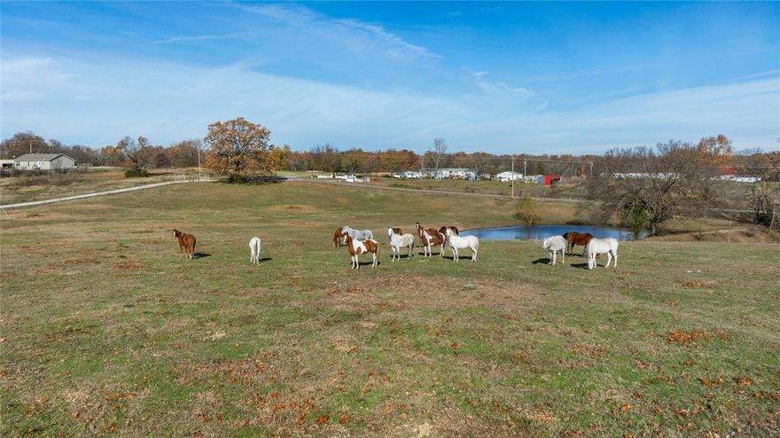 Explore this stunning 20.5-acre property located within the highly sought-after Bentonville School District. This expansive land is perfect for developers looking to capitalize on the area's growth and potential.
The property features a charming farmhouse, ideal for a fixer-upper project, along with a spacious shop for storage. An impressive barn boasts six horse stalls, a tack room, and a bathroom, alongside an unfinished apartment that offers endless possibilities for customization or rental income.
With its prime location and abundant outdoor space, this property presents a rare opportunity to create a thriving community or pursue various development possibilities in a vibrant and expanding area. Don’t miss the chance to invest in this unique piece of land!
currently operating as a  equestrian facility