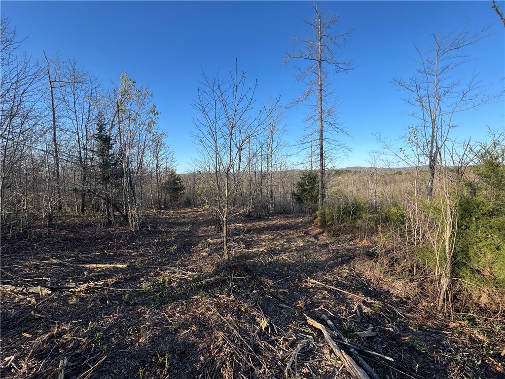 Located on Mockingbird Hill just off Hwy 7 South, this just-under-4-acre tract offers big potential in a prime locationāonly 6 miles from Jasper, AR. With rural water available and great views, it's ready for your vision. Surrounded by the natural beauty of Newton County, youāll be just minutes from the Buffalo National River and some of the best hiking and biking trails in Arkansas. Whether you're dreaming of a cabin getaway or a high-demand short-term rental, this spot puts you right where you want to be. Affordable, scenic, and ready to go!
