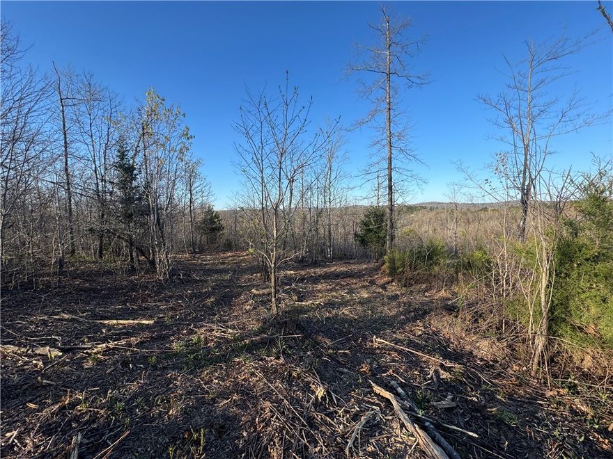 Located on Mockingbird Hill just off Hwy 7 South, this just-under-4-acre tract offers big potential in a prime location—only 6 miles from Jasper, AR. With rural water available and great views, it's ready for your vision. Surrounded by the natural beauty of Newton County, you’ll be just minutes from the Buffalo National River and some of the best hiking and biking trails in Arkansas. Whether you're dreaming of a cabin getaway or a high-demand short-term rental, this spot puts you right where you want to be. Affordable, scenic, and ready to go!