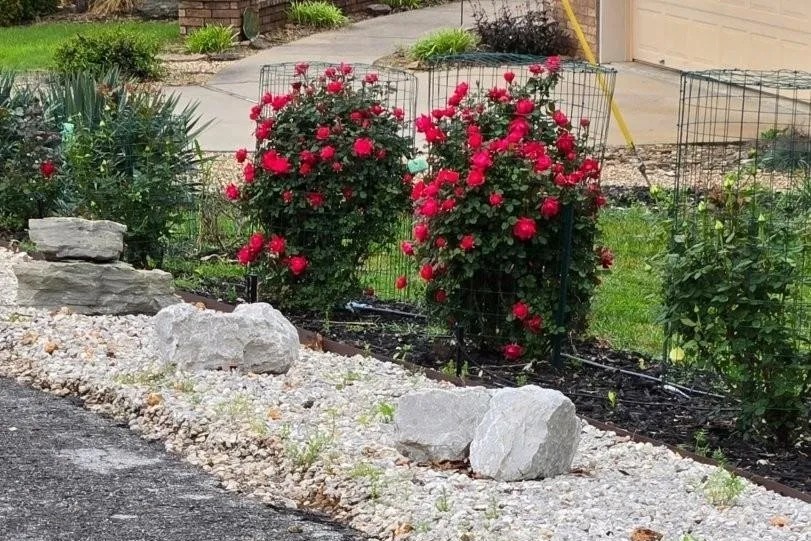 Eddleston Sub Bvv - Residential