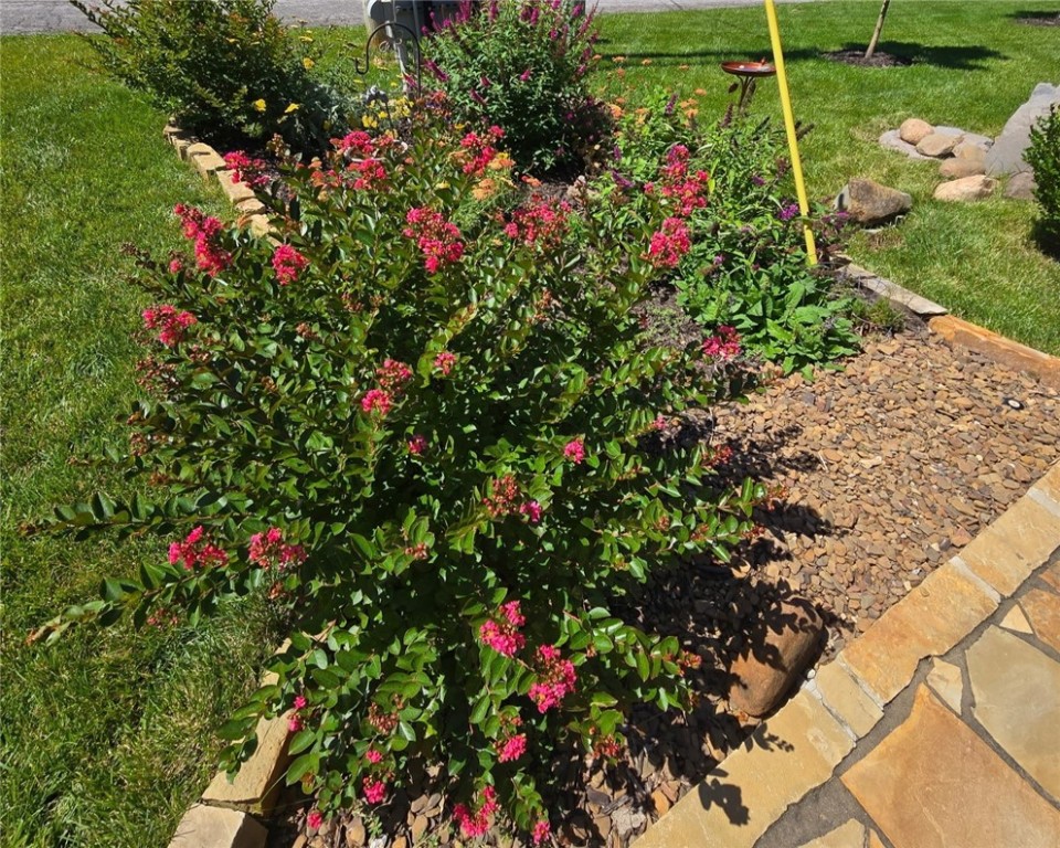 Eddleston Sub Bvv - Residential