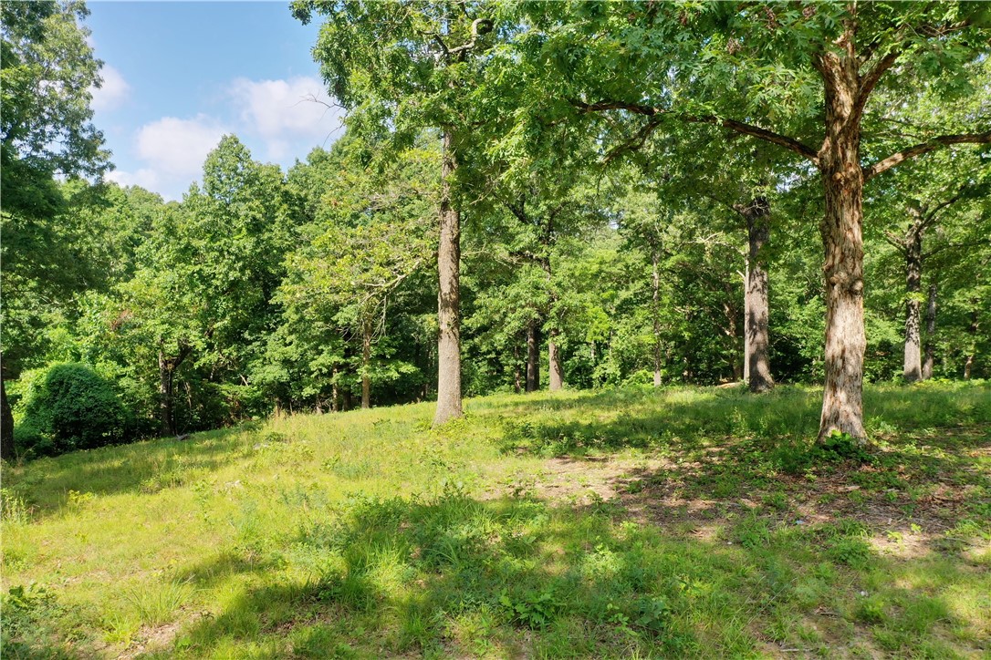 Bring your barndominium plans to life on this 2.5 acre lot. Just a couple of miles outside of the Harrison city limits in a country subdivision with minimal restrictions and no HOA fees. Essential utilities are already in place. Rural water, electric, and natural gas.