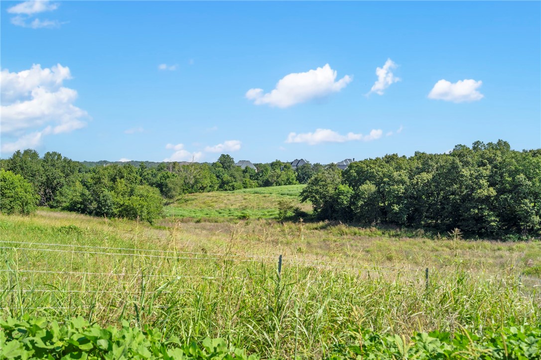 Tontitown Outlots 2000 Annex - Land
