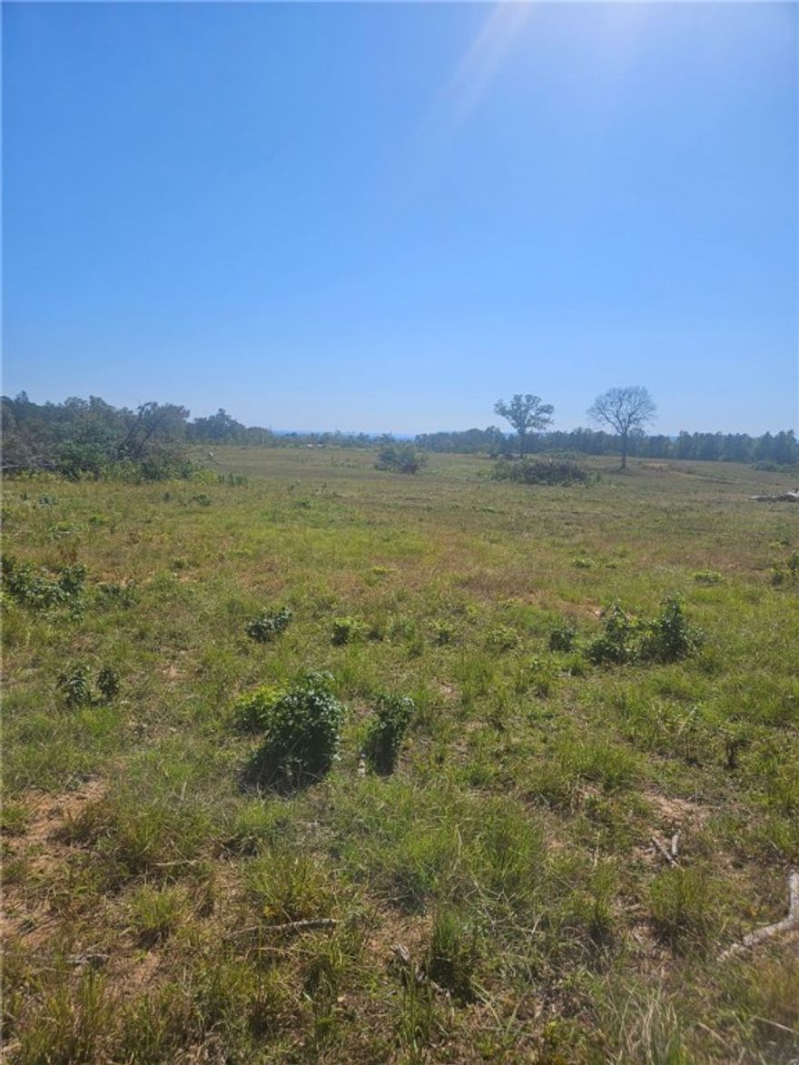 40 acres fenced and cross fenced with pond and barn