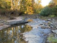 Fantastic 15.2 acres on the White River AND joining National Forest! Great for weekend getaway or forever home, this mostly open property has Hwy 16 frontage for ease of access, rural water at the road, and Ozarks electric/OzarksGo fiber. Enjoy your own stretch of White River frontage, a stocked pond, 1000's of acres of National Forest public land to access, all in a peaceful area with scenic views of the Ozarks. Land is surveyed with perimeter painted, groceries and fuel are a short drive. Great location to access all of the side-by-side trails that the National Forest provides. Agent owned. Don't miss your opportunity with this special property!