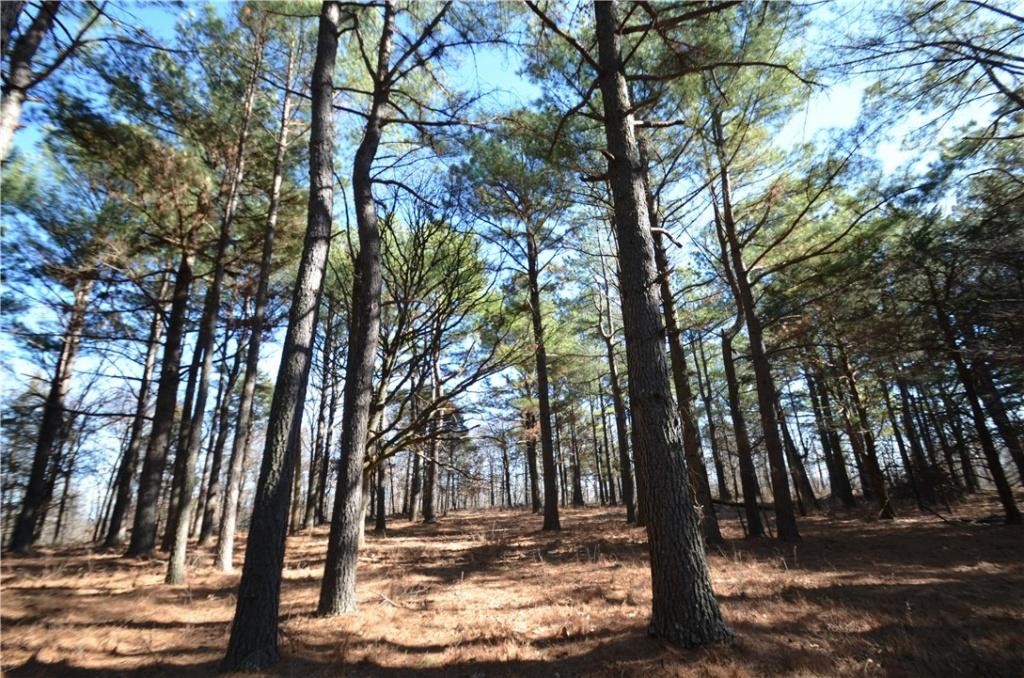 Escape to your own private retreat! This beautiful wooded acreage offers peace, privacy, and endless possibilities. Tucked away from the hustle and bustle, its the perfect spot to build your dream home, create a weekend getaway, or simply enjoy nature art it's finest. With mature trees, abundant wildlife and plenty of room to roam, you'll have the best of country living while still being within reach of nearby conveniences.