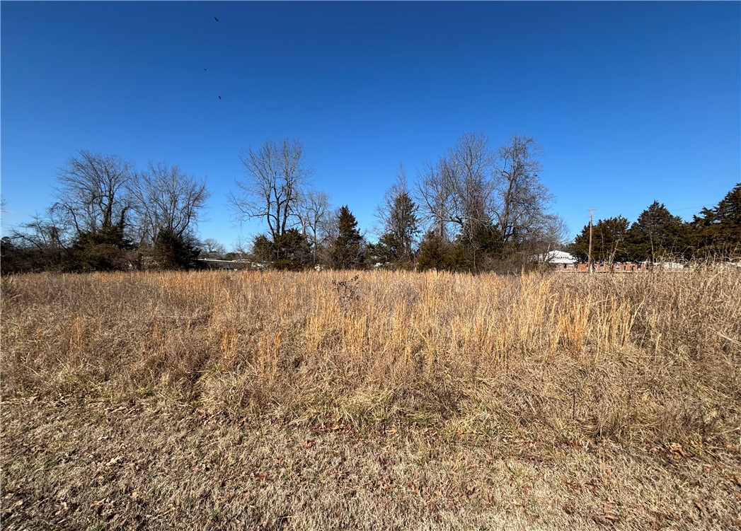 Unlock the potential of your business with these exceptional four-level commercial lots zoned C-1, situated one block off Central Boulevard. This prime location features a corner lot at the intersection of Red Bud and Carolyn, offering excellent accessibility, including convenient alley access. City water and sewer are available, allowing you to start your project without delay. Donāt miss this chance to invest in a strategic location! Owner financing is available.