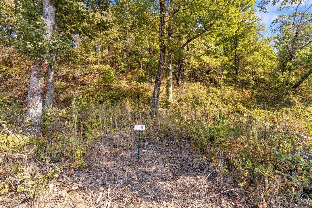 Welcome to Lot 6 (0.60 m/l ac) on Significance Summit at Round Mountain Estates. This ready to build on lot offers seasonal views at a more affordable price while still enjoying the luxury RME has to offer! RME is a new, master planned, exclusive subdivision located 10 minutes west of Harrison, AR. The following utilities are already on site making the building process much easier for you; natural gas, fiber optic internet, electric, public water, and sewer. Interested in your family seeing the star lights instead of those city lights? RME is what you've been searching for! RME features a 350 +/- acre common area for its residents that includes a stocked fishing pond, Kissing Rock trail, natural springs to explore, Baby Canyon trail, incredible bluff lines to climb, and views for hundreds of miles that will not only take your breath away but will forever be etched in your memory! Neighborhood amenities coming soon.
