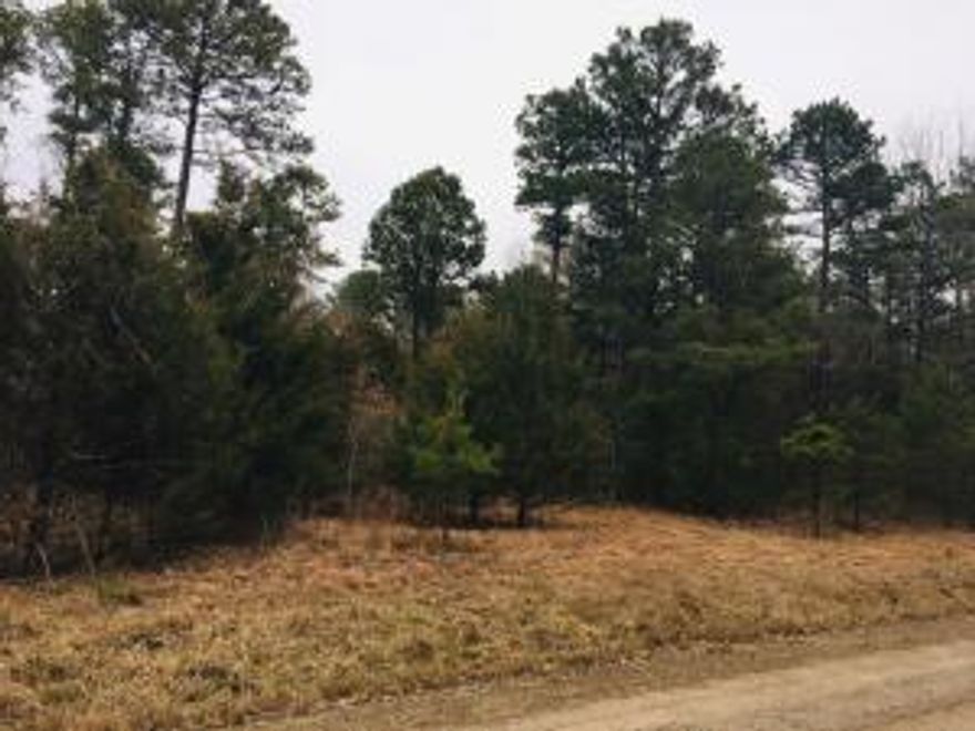 Beautiful ( 1  2/3 acre ) HUGE lot! So much potential! Peaceful, secluded neighborhood with very nice houses in the area. Just 2 miles from Piney Bay. Short drive to either Russellville or Clarksville. Owner financing offered! Largest lot left in the quiet, serene Eagles Nest -- One and two-thirds acres! Don't miss this!