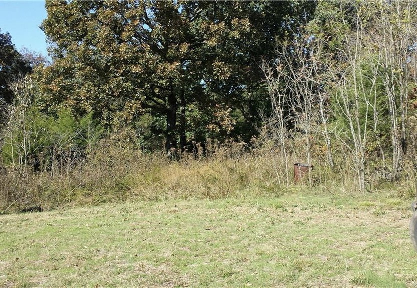 Nice Rural Property, level, water tap in place. Private. Lots of wildlife. Just a few minutes to Fayetteville. Great place for horses, goats, a garden and chickens.