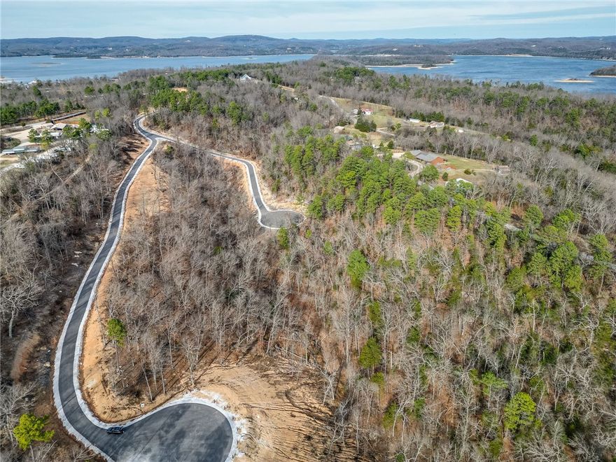 Discover the perfect canvas for your custom lake-area retreat in Blisslake, an exclusive new subdivision featuring only 9 premier estate lots w/dedicated community, lake front access. This 4.53-acre lot offers the ideal blend of privacy, natural beauty, & proximity to some of Northwest Arkansas' most sought-after amenities. Ideally located near Hobbs State Park, Rocky Branch Marina, the property is surrounded by endless opportunities for hiking, biking, boating, & outdoor recreation as well as just 20 minutes from downtown Rogers! The sloping terrain & serene wooded setting provide an exceptional backdrop for a luxury home designed to complement the Ozark landscape. Underground electric & water are available at the street, allowing for a visually clean, unobstructed setting. Blisslake is thoughtfully designed for those seeking a refined, peaceful lifestyle w/the convenience of lake access & nearby recreation, all within a private, high-end community. Build your dream home & experience the best of the Natural State!