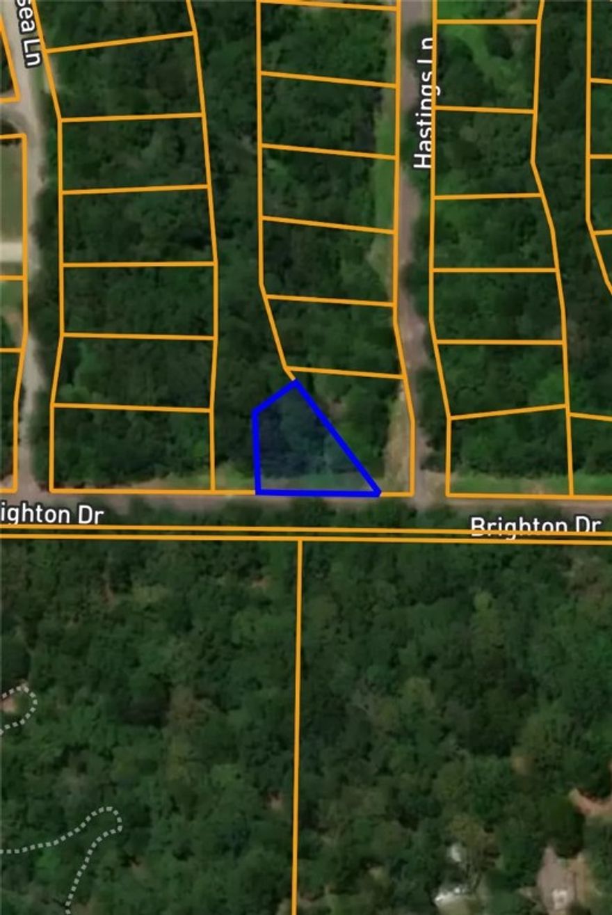 This 0.24-acre vacant residential lot, located on Brighton Drive in Bella Vista, AR, is identified by Parcel Number 16-30438-000 and sits within the Sussex Subdivision (Lot 21, Block 11). Situated in Benton County and falling under the Bentonville School District.Although no acreage is currently designated as timberland, the surrounding environment offers a naturally forested setting.Positioned in Section 28, Township 21 North, Range 30 West, this parcel is ideal for future residential development or land investment within one of Northwest Arkansas’s most scenic and growing communities.