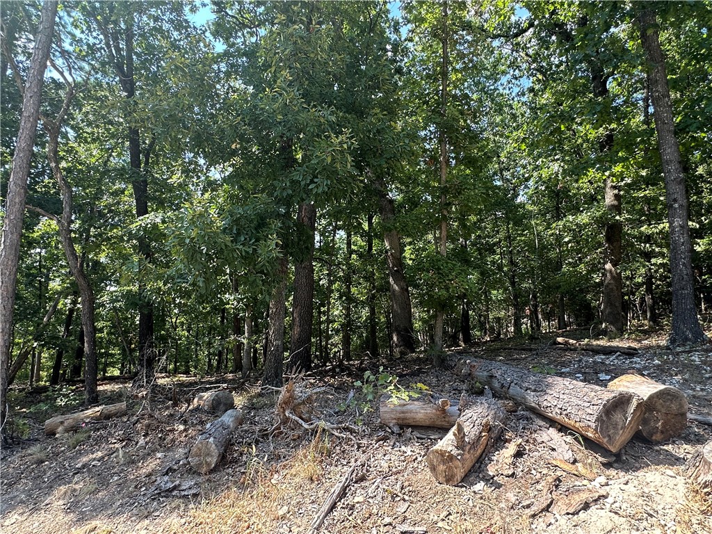 This .30-acre lot offers the perfect blend of convenience and natural beauty. With a nice, flat spot ready for building, itās an ideal canvas for your future home. The popular Back 40 Trail access path runs right in front of the lot, making it a dream location for biking, hiking, and enjoying the outdoors. Just minutes away, youāll find Lake Ann Park, where you can fish, picnic, or simply relax by the water.
Living in Bella Vista, AR means enjoying a wealth of community amenities, including:7 scenic lakes for boating and fishing, 6 golf courses, extensive trail systems for hiking and biking, clubhouses, swimming pools, and fitness centers, Tennis courts and pickleball courts, as well as parks, playgrounds, and recreational facilities
Whether youāre looking to build your forever home or a weekend retreat, this lot provides the perfect spot to embrace all that Bella Vista living has to offer.