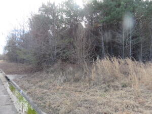 Two parcels being sold together as one transaction. Wooded, one parcel lies north of VALLEY ESTATES and has easy access from the Exit 57 off I-40, Dunwood Drive. The other parcel lies to the west and runs north to south. Adjacent to R3 zoned acreage. All data is per Johnson County courthouse website.