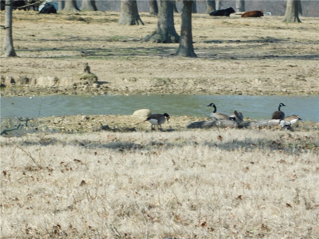 Legacy Estates Ph I - Residential