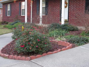 Bay Ridge - Residential