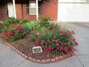 Bay Ridge - Residential