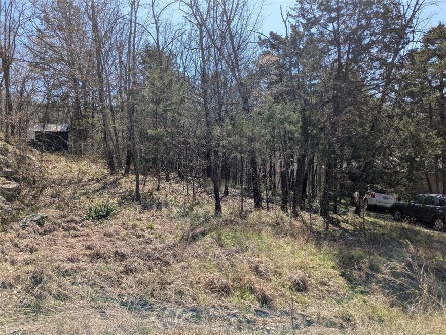 Ready to build your dream home? Quiet and gently wooded, this lot with water and electric available at the street gives you the best of both worlds. Enjoy the amenities in Holiday Island like golf courses, a country club, swimming, tennis and a marina with a fishing dock or watch the local fauna from your back deck! Nearby Eureka Springs or Rogers offer great shopping and vibrant cultural hubs.