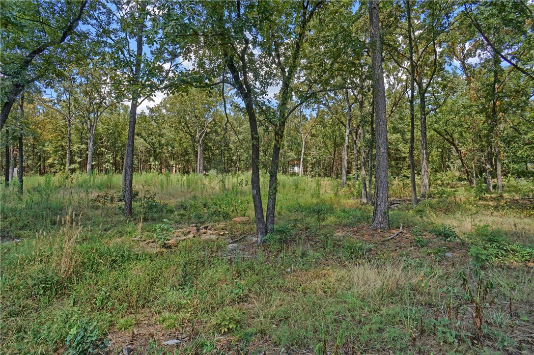 CAGLE ROCK VILLAGE - Land