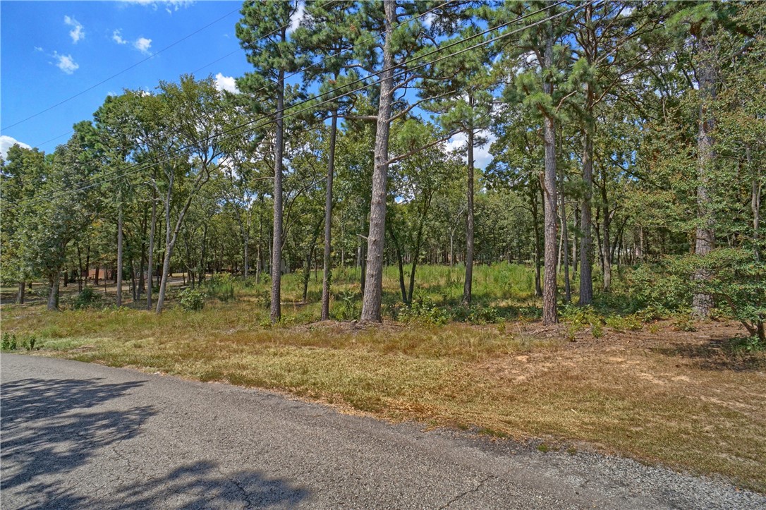 CAGLE ROCK VILLAGE - Land