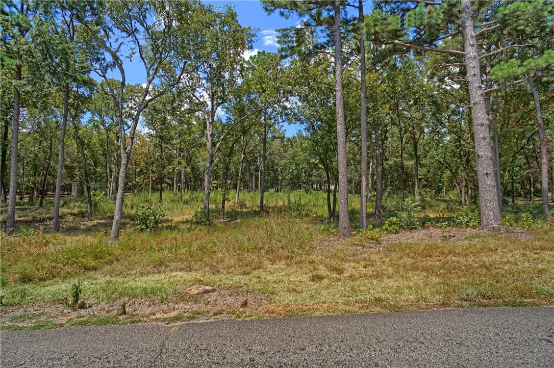 Come check out this awesome 1.57 acre lot in the Cagle Rock Village subdivision. All utilties at the street and ready to build your future home in a great area just outside of town!