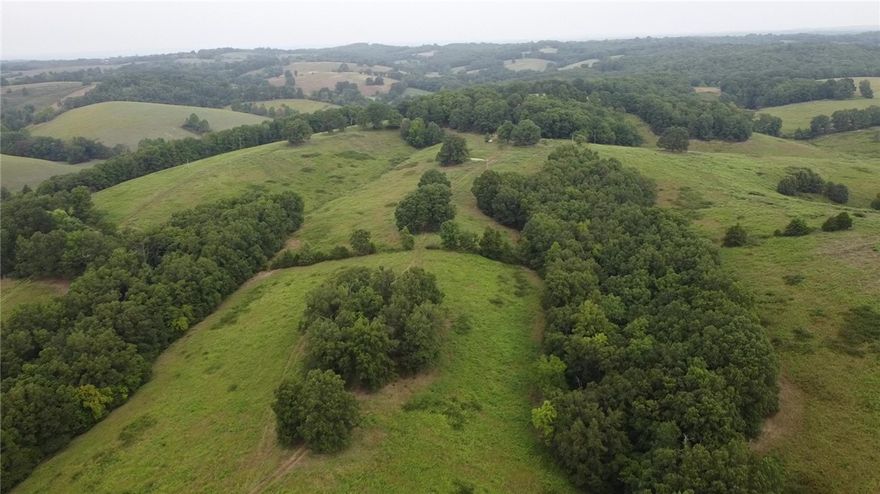 Discover your dream property nestled in the breathtaking Ozark Mountains! This stunning 100-acre farm offers a rare combination of open, fenced pastureland, multiple ideal home sites, and all the peace and seclusion you could ask for. Whether you’re dreaming of a private homestead, a working farm, or a recreational getaway, this one-of-a-kind property has the space, scenery, and resources to make it happen.