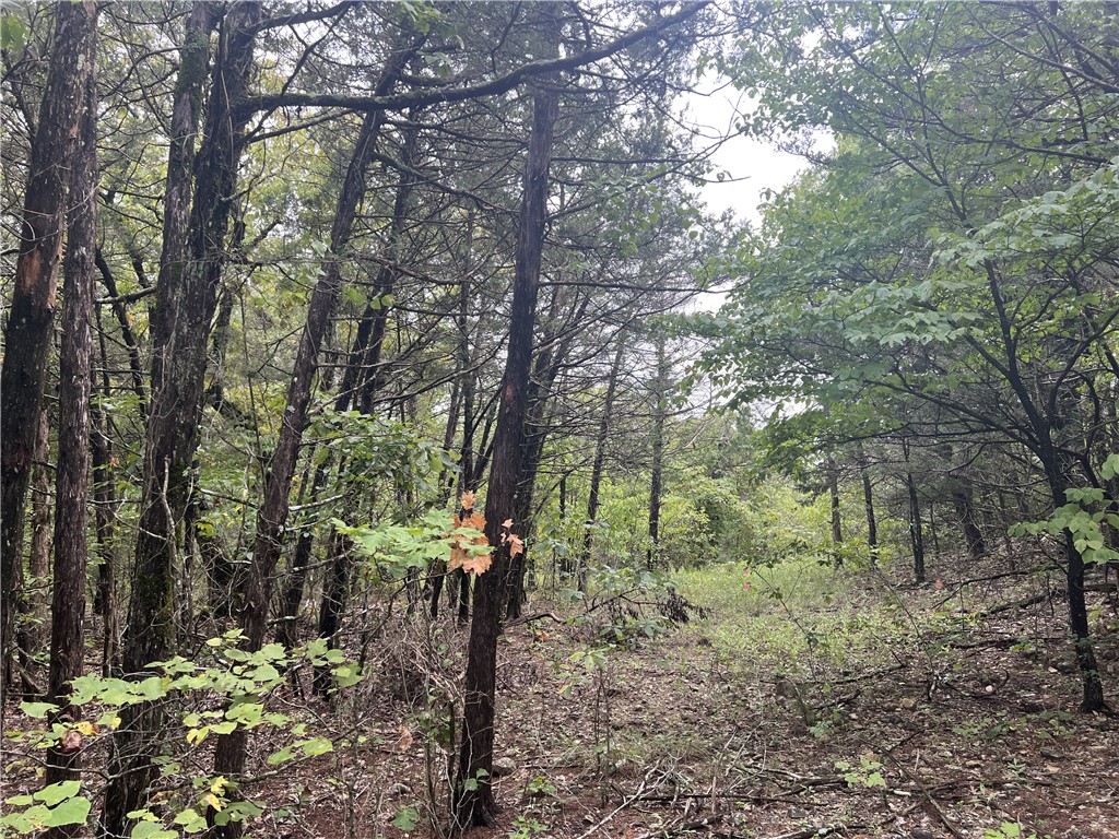 Possible Owner Financing!! Come check out this wooded 5 Acres m/l with old camping area and nice building site. Electric poles run along the road. No Restrictions. Call today to schedule a showing.