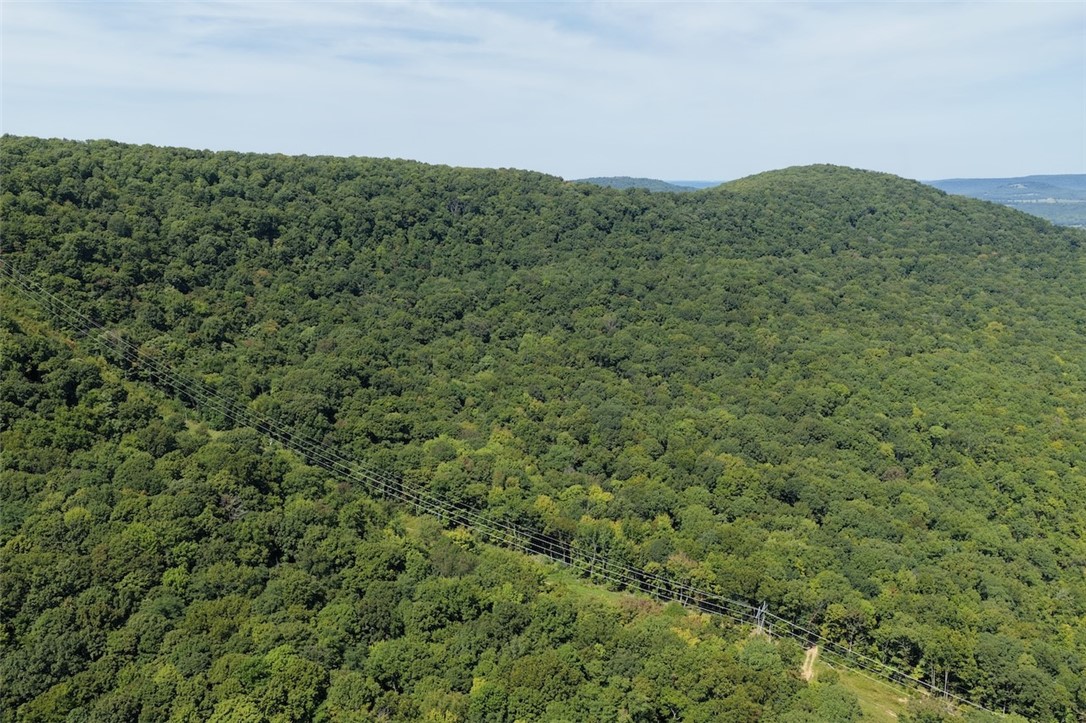 Discover your own piece of the Ozarks with this 40-acre turnkey hunting property for sale in Madison County, Arkansas. Ready for the season, it offers mature timber, established ATV and trail riding paths, hunting blinds, and feeders already in placeāperfect for whitetail deer, black bear, turkey, and wild hog hunting. Convenient county road access leads you onto the land where multiple building sites are ideal for a cabin, hunting camp, or mountain getaway. Electric and water are already on site, along with an 18' x 20' enclosed building for gear and storage. This Northwest Arkansas hunting property combines utilities, prime wildlife habitat, and outdoor recreation into a rare opportunity for anyone seeking a private retreat or a land investment in the beauty of Madison County.