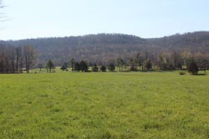 This parcel joins Terrapin creek on the east side the entire length of the property. The hay fields are well maintained and fertilized. The views are wonderful. For more acreage see MLS#138209.
