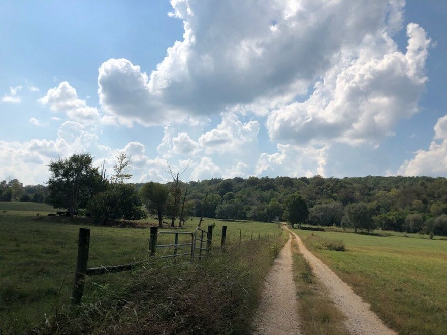 362 acre farm with 1400 square foot home and over a mile of War Eagle Creek frontage!  Perfect for a working cattle farm, family getaway/homestead, or company retreat.  Hunting and Fishing paradise with tons of bear, deer, and turkey in the heart of the Ozark Mountains.   Only an hour to Fayetteville and Springdale!  See also ML #1092309