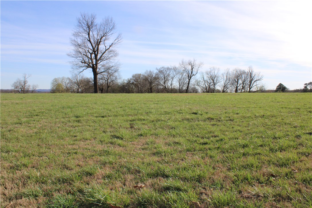 Northern Trace - Land