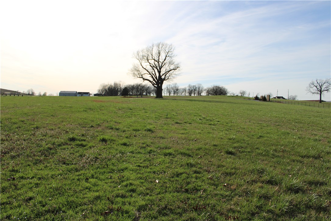 Northern Trace - Land