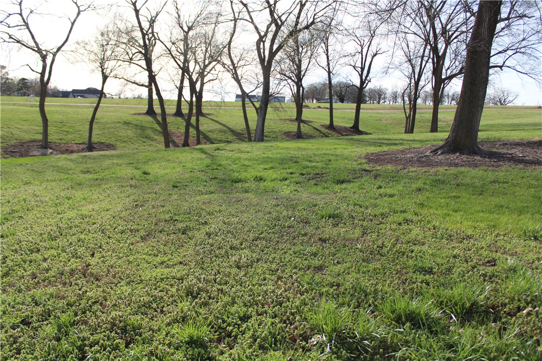 Northern Trace - Land