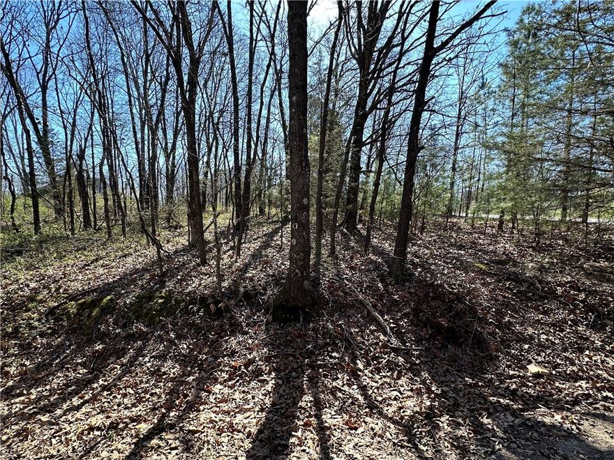 Come see this really nice .28 lot in Bella Vista.  Its a nice flat lot with beautful trees  and ready to build your custom future home on just the way you want it. A tranquil quiet environment,  close  to Lake Loch Lomond..  You get a nice feel with nature yet still enjoy paved roads.