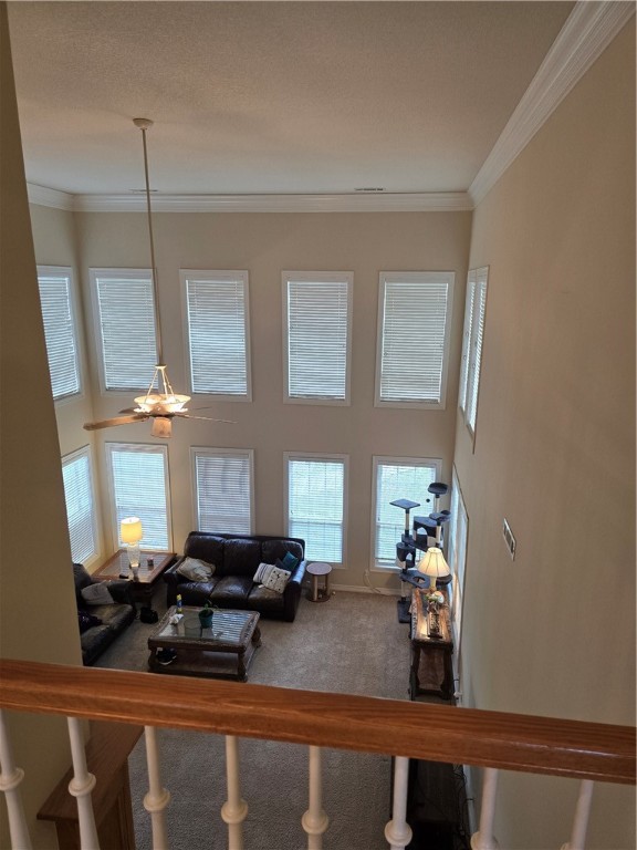 06-17-30 Tontitown Outlots - Residential