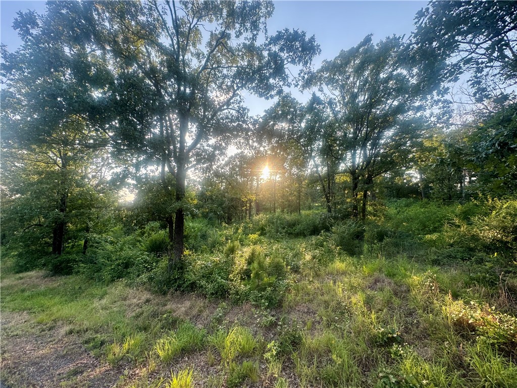 Gorgeous four-acre lot in the beautiful Riverstone Subdivision. With views of Mt. Nebo and multiple places to build, this lot will make a beautiful setting for your forever home. Close to Old Post Park and only minutes from downtown Russellville, this location is close to amenities in both Russellville and Dardanelle. Don't miss your chance to own four breath taking acres in Russellville now!
Water and electric are at the road.