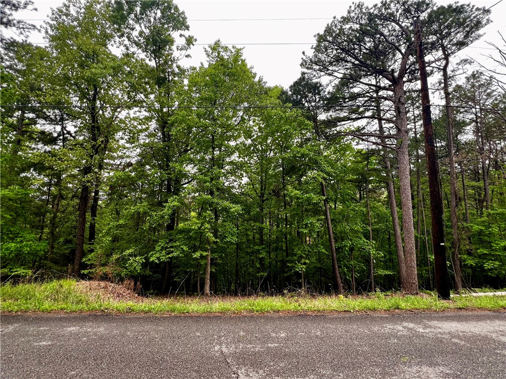 Beaver Lake area lot in the Beaver Shores Subdivision. Very Secluded with a few houses on the street. Prairie Creek Marina and 3 other boat launch ramps located just right around the corner. Minutes to Downtown Rogers. Water and electric at street. Lot has been surveyed and marked. Look for sign and survey stakes with pink tape at the front of the lot.