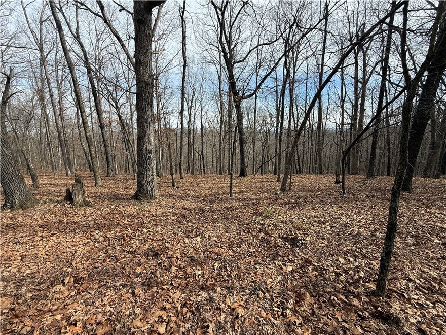 This is a rare opportunity to own a combined 21.01 acres in a peaceful, secluded setting with endless potential. Comprised of two adjoining tracts of 10.69 and 10.32 acres, this property offers multiple building sites and exceptional flexibility.

Light restrictions allow for double-wide manufactured homes on a permanent foundation with no minimum square footage requirement. Whether you are planning a private estate, a weekend retreat, a multi-home family compound, or a future investment, this quiet acreage provides the privacy and freedom to build on your own timeline. 

Please let me know if you would like more information or a tour of the property.