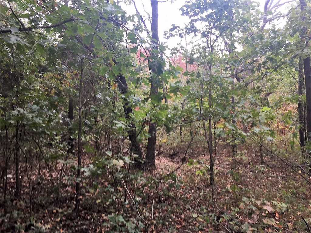 Builders a rectangular buildable lot with 95' of frontage on 0.34 of an acre sloping lot. Bentonville School District on East side of Bella Vista. Priced to sell.