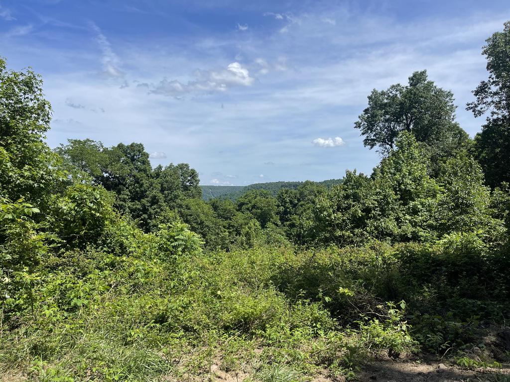 Have you been looking for small acreage that isn't too far from town? These tracts feel very secluded and private but are only 10 miles to Harrison, 11 miles to Compton, & 19 miles to Ponca. Nice building spots that would make a great location for an off-grid cabin, nightly rental, or your forever home. Some tracts have Terrapin Creek access, while others boast incredible bluff lines and views, county road frontage, and even an old home place. This tract contains approximately 4.64 acres, has incredible views and is nestled just under the Piney Mountain bluff line.