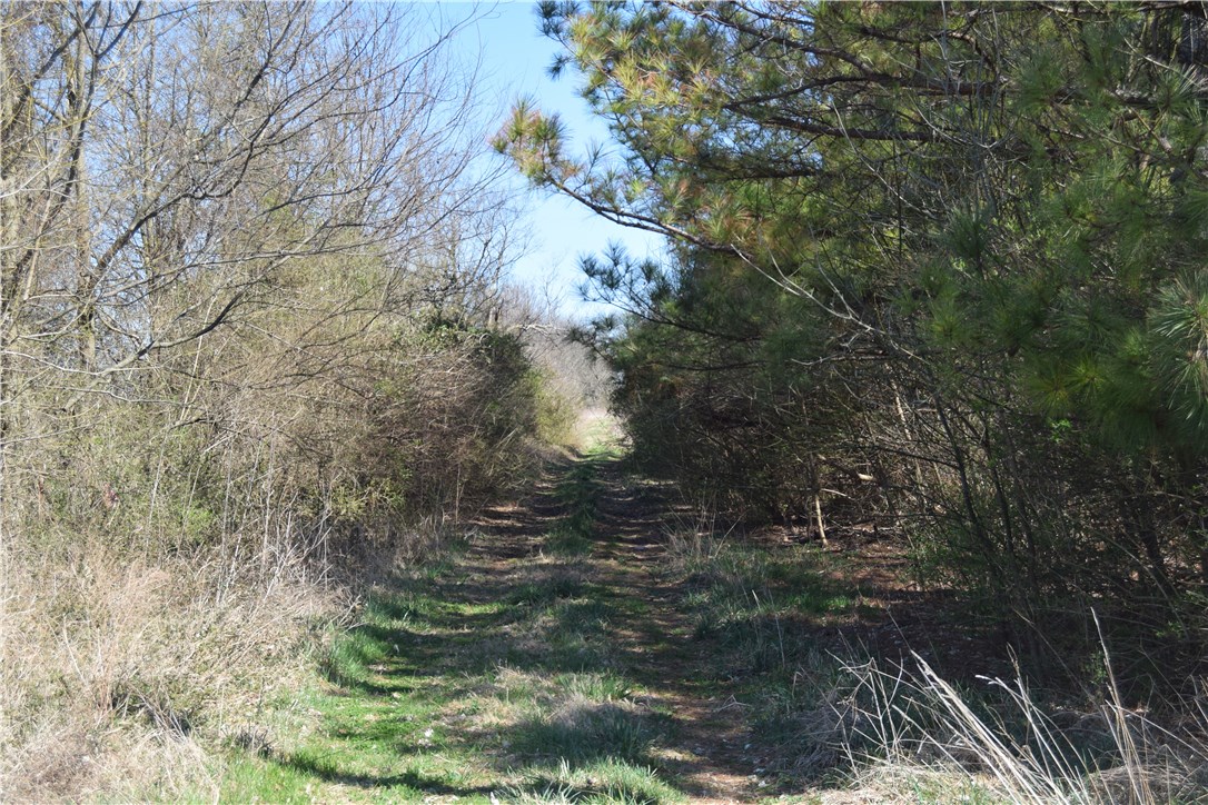 The Meadows at Stonebridge - Land