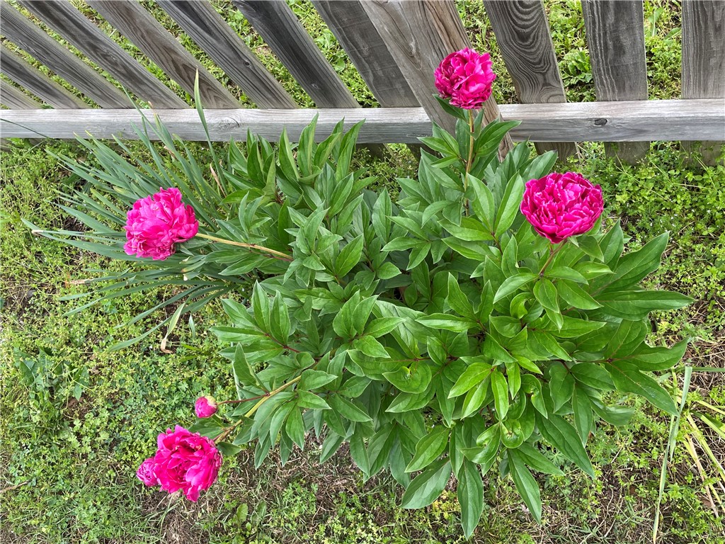 04-16-26 - Residential