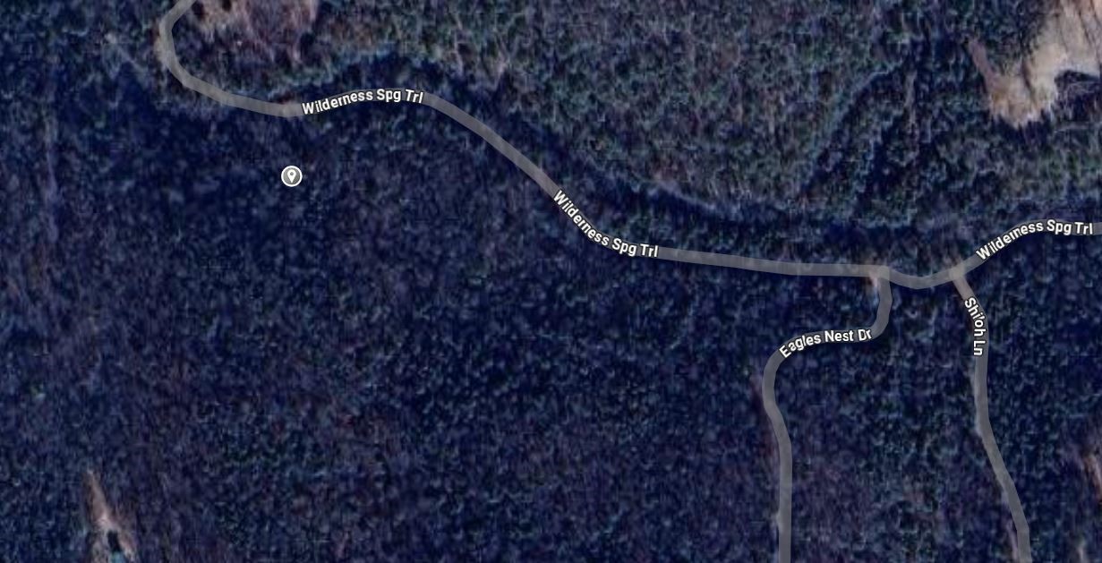 Here are 5 wooded acres with lots of wildlife. This property would be great to build a home with privacy. No restrictions!