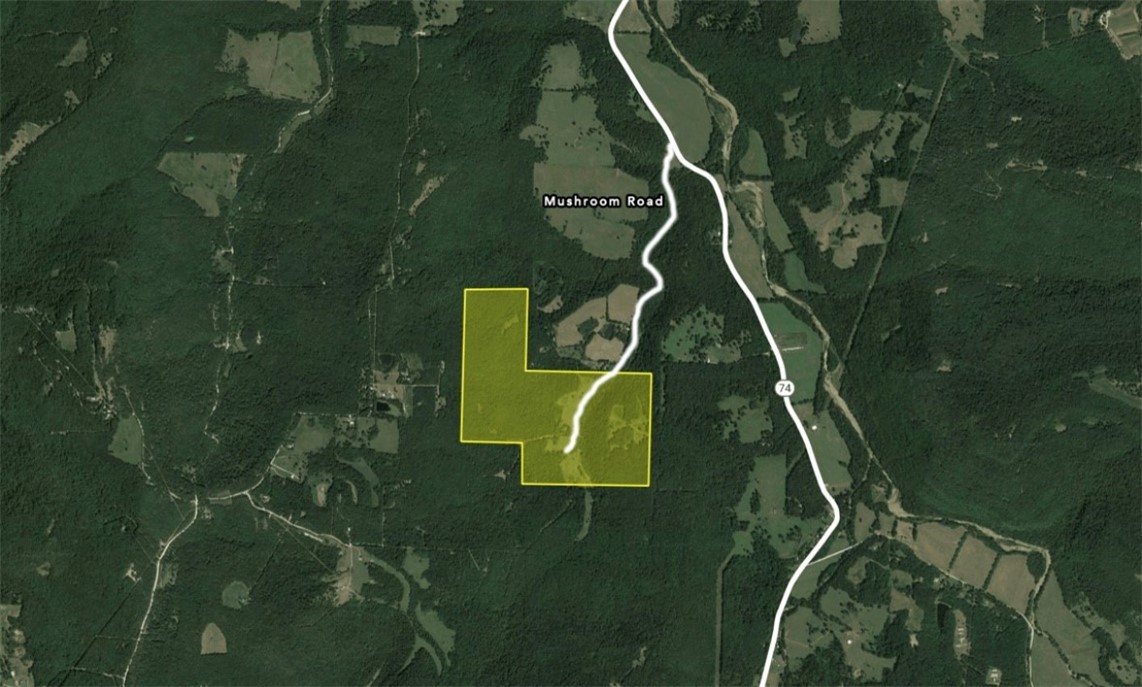 ⢠Turnkey Ranch/Farm in the heart of Rapidly Growing
Northwest Arkansas
⢠One-of-a-kind property with mature trees and a great mix of
open pasture and hardwoods
⢠Upside long-term development potential
⢠Extremely fertile dark black soil with natural clover
⢠17 miles from the University of Arkansas
⢠46 miles to Walmart home offices and Beaver Lake
⢠High yielding hay operation with 3-4 cuts per year providing
significant income
⢠Upside opportunity to add cows. Most parcels have
perimeter fencing and have been surveyed
⢠All easements are recorded and permanently conveyed with
the property
⢠Trophy Whitetail Deer, Turkey, Bear, and occasional Hog
hunting
⢠Multiple deer stands and food plots
⢠Trace Branch Creek runs through the middle of the property
ā¢Recently renovated Cabin on the far end of the property
that can be used as VRBO or leased out for hunting/ATV
riding