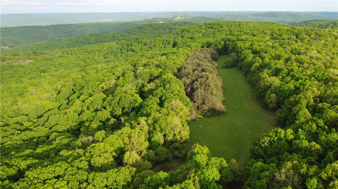 Looking to spend more time outdoors? Endless options on this beautiful mix of rolling mature timber & flat pasture. Home to the 6th highest point in Washington Co. (2230 ft), this 163 acres has been in the same family for over 50 yrs and sits just 10 min from HWY 71, less than 20 min from Fayetteville. Paved roads until the last quarter mile make for easy access. With electric & fiber on site & public water on the private rd leading to the property, utilities are covered. Gated access from the private road is an additional bonus. Whether hunting, hiking or ATV riding, a great trail system offers the ability to reach most of the property with ease & the two small ponds could be made into fun fishing spots. An older cabin on the property with a wood burning stove makes for a good camping spot with a nice view, & could be made into much more. Numerous building sites both cleared and wooded, with potential for some amazing views. The deer, turkey and bear will keep you company, so come explore this awesome property!