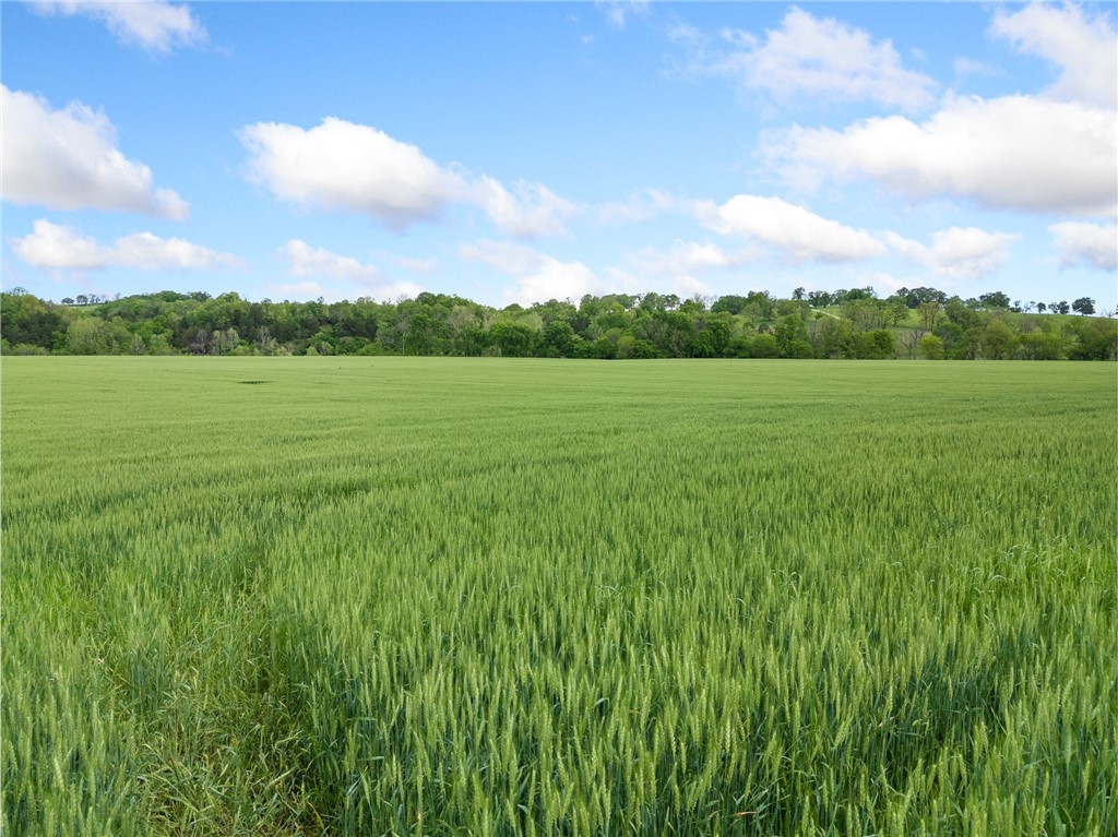 Long Creek Estates Ii - Land