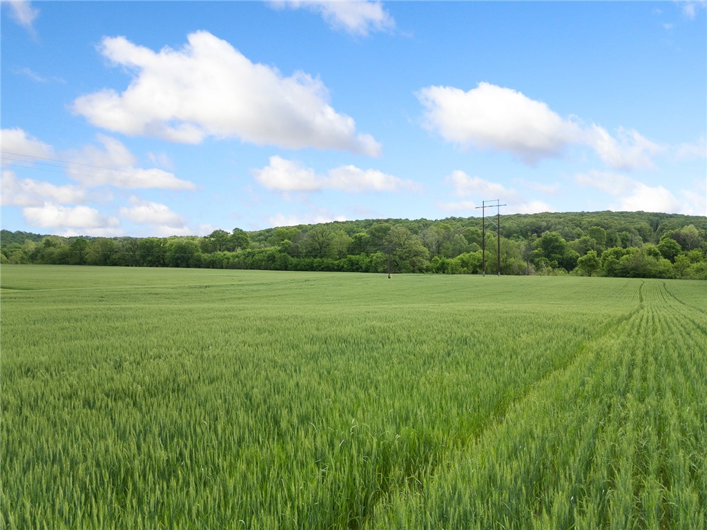 Long Creek Estates Ii - Land