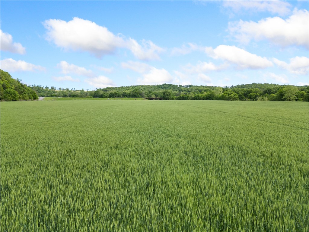 Long Creek Estates Ii - Land