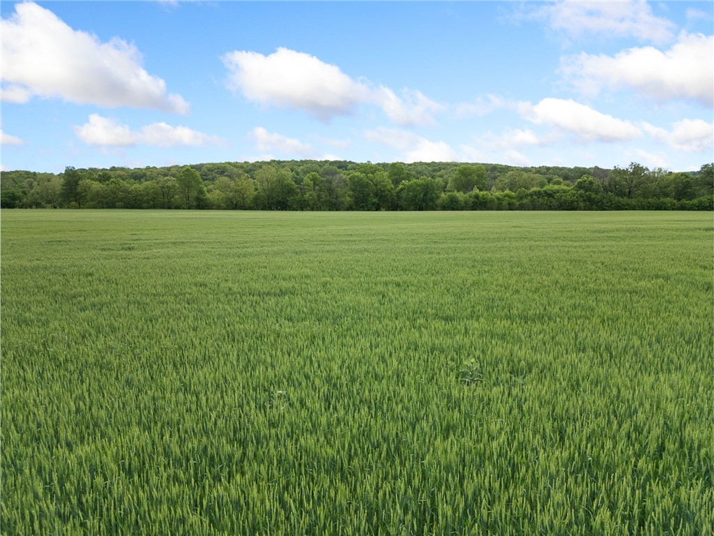 Long Creek Estates Ii - Land