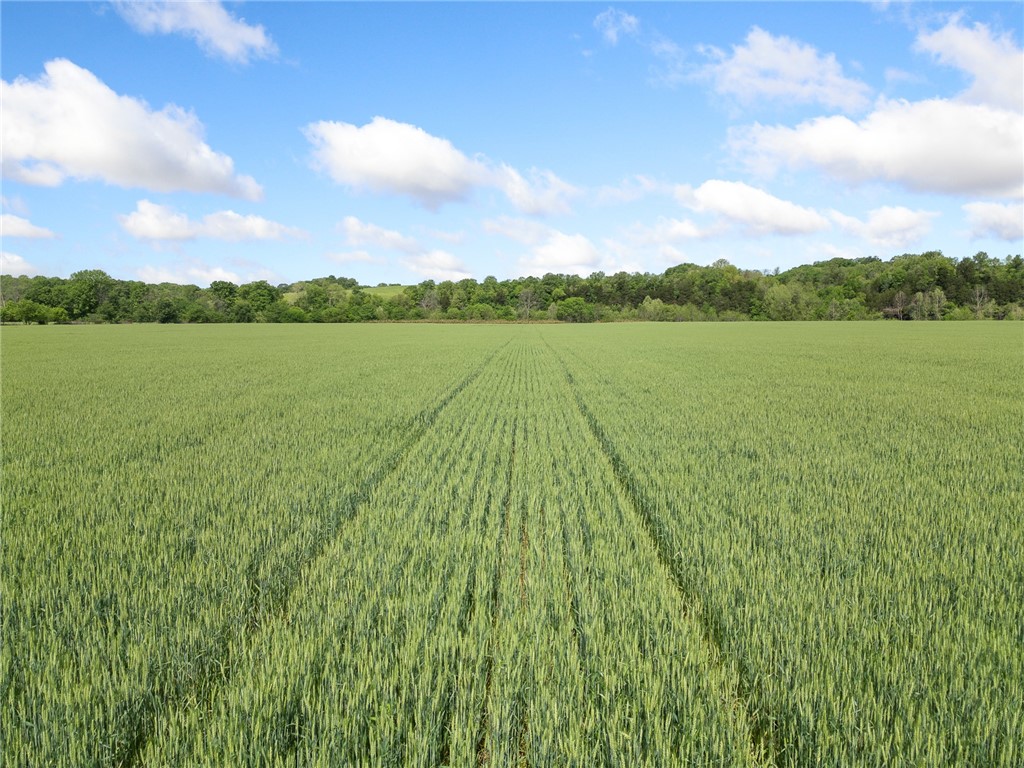 Long Creek Estates Ii - Land